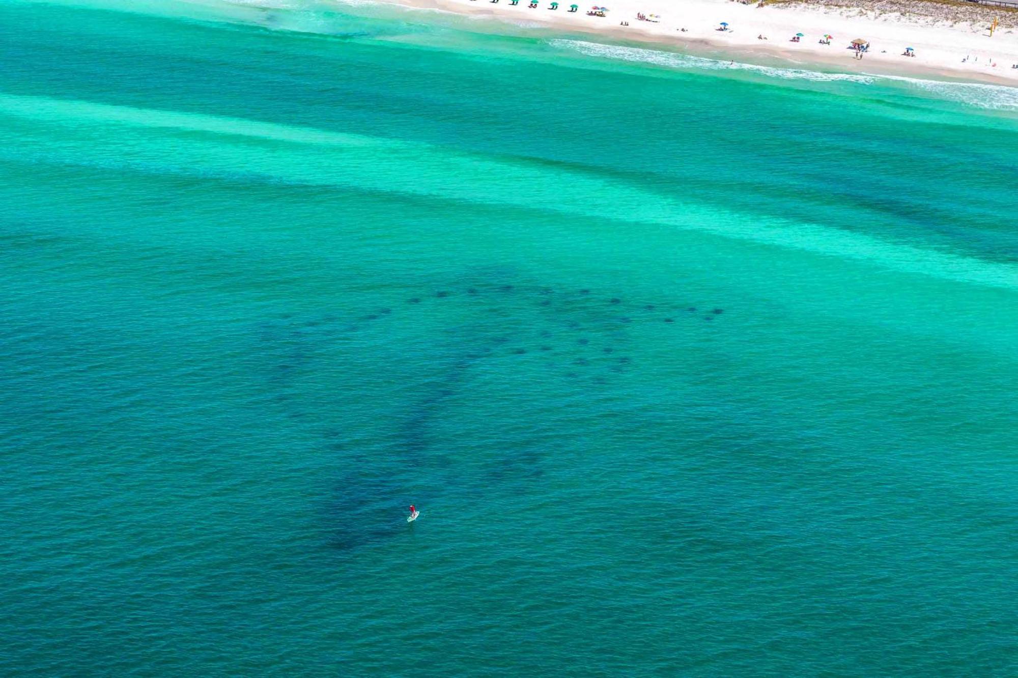 Ariel Dunes I 2207 Destin Eksteriør billede